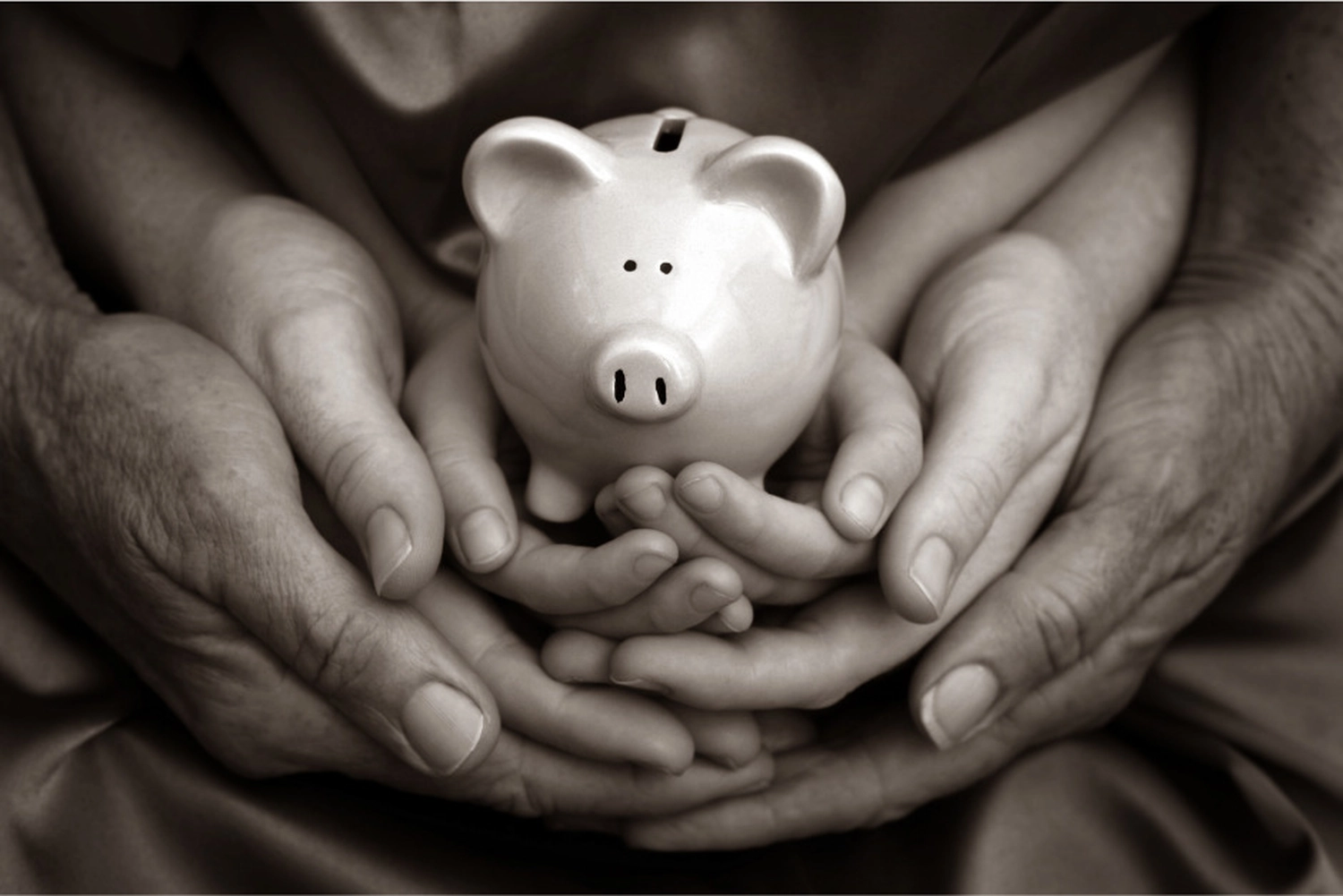 Choy Consulting UG – Finanzberater – Sparschwein in der Hand
