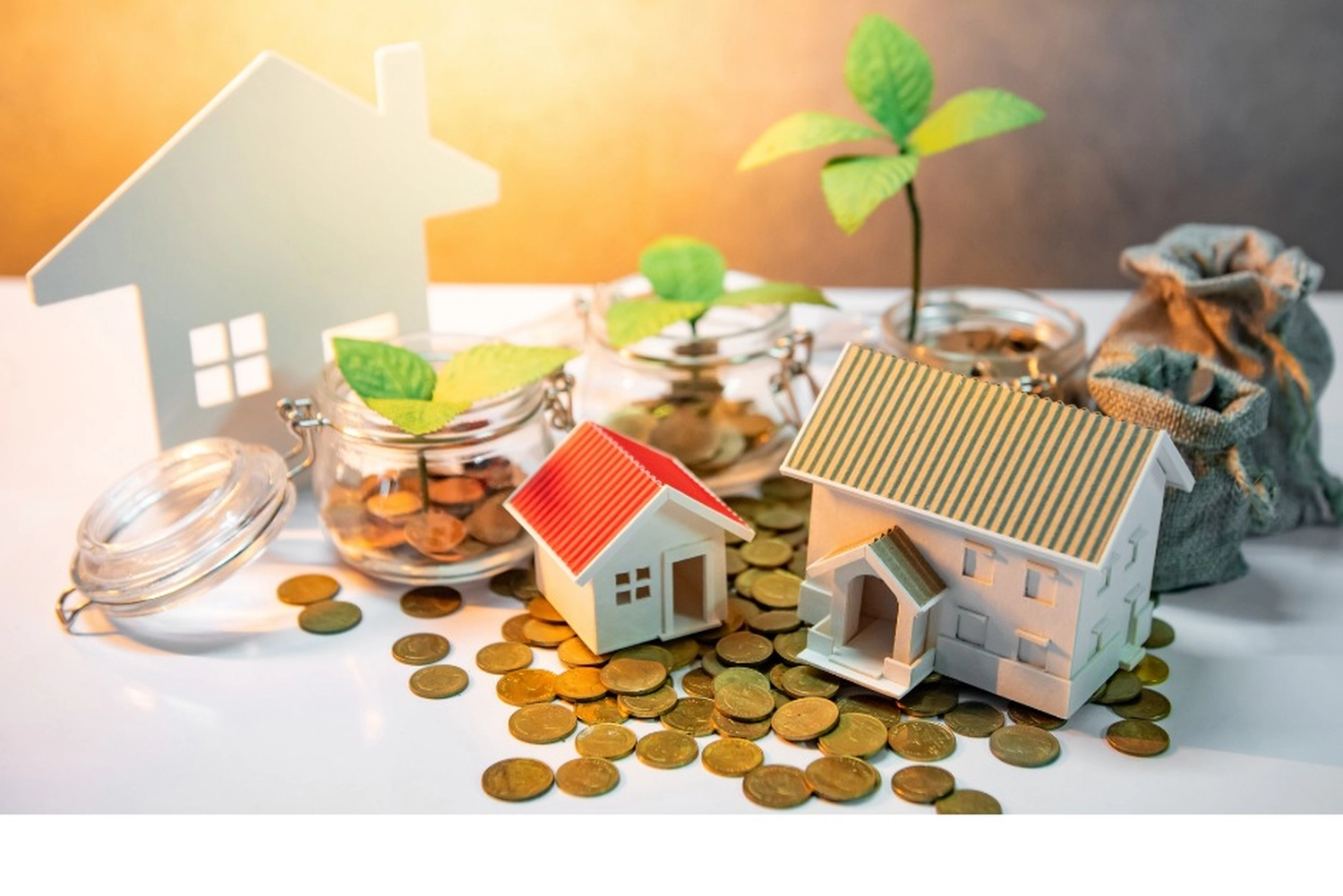 Choy Consulting UG – Finanzberater – Hausmünzen und Baum